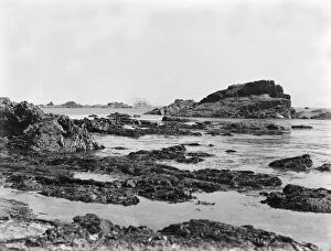 Landewednack Collection: Polpeor Cove, The Lizard, Landewednack, Cornwall. 1908