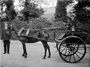 Transport Collection: Pony and trap, Tremorvah Lodge, Truro, Cornwall. Early 1900s