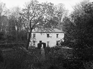 Images Dated 12th October 2018: Rose Villa, Perranarworthal, Cornwall. Early 1900s