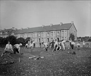 St Columb Minor Collection: Schoolchildren digging in a field, St Columb Minor Churchtown, Cornwall. 1910