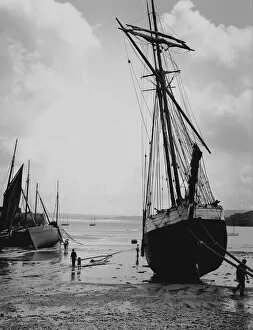 Images Dated 14th November 2019: The schooner Atlas on the beach in the harbour at low tide, St Ives, Cornwall. 1904