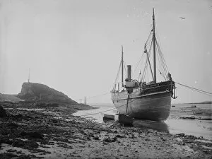 Bude Collection: SS Dardare, Bude, Cornwall. 10th June 1905