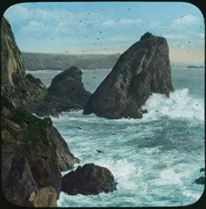 Images Dated 4th September 2017: Sugar Loaf, Kynance Cove, Landewednack, Cornwall. Probably early 1900s
