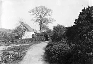 Kea Collection: Thatched Cornish cottage near Hugus, Kea, Cornwall. Early 1900s