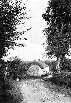 Images Dated 29th January 2018: Thatched cottage on Blackydown Lane, Idless, Cornwall. Early 1900s
