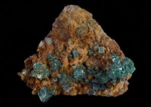 Minerals Collection: Torbernite on Quartz, Wheal Basset, Illogan, Cornwall, England