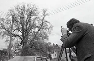 Images Dated 4th June 2019: Tree Measurement, Lostwithiel, Cornwall. May 1992