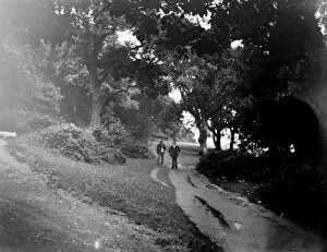 Images Dated 27th September 2017: Trefusis Woods, Mylor, Cornwall. Around 1910-1920