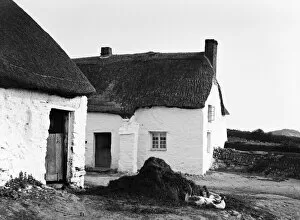Images Dated 2nd October 2017: Treguth Farm. Holywell Bay, Cubert, Cornwall. 1903