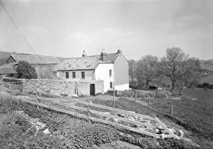 Images Dated 16th October 2017: Trehill farmhouse, Rame, Cornwall. 1962