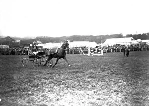 Images Dated 12th September 2016: Trotting event, Royal Cornwall Show, Camborne, Cornwall. 1923 or 1927