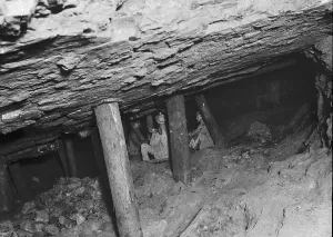 truri miblh 26 Trending Item 3