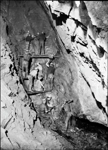 Prints of TRURI-MIcbr-2 Mining Prints: TRURI-MIcbr-2