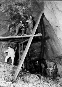 Prints of TRURI-MIcbr-5 Mining Prints: TRURI-MIcbr-5