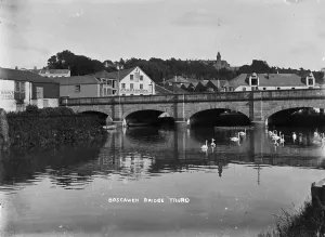 Truro Prints: TRURI-TRUbbr-3