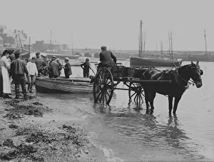 St Ives Collection: Unloading fish in St Ives harbour, Cornwall. 1903