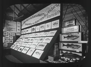 Interior Prints: Victoria, Australia exhibit at the Cornwall County Fisheries Exhibition