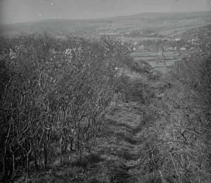 View of Angarrack Incline, Hayle railway long abandoned, near Hayle, Cornwall. Date unknown
