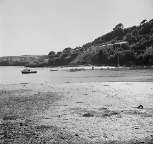 View of Malpas looking up river towards Truro from Tregothnan landing, St Michael Penkivel, Cornwall. 1975