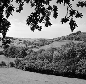 Images Dated 14th August 2018: View towards St Clether, Laneast, Cornwall. 1963
