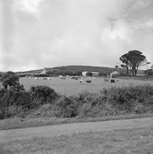 Images Dated 12th April 2018: View towards Trendine, Towednack, Cornwall. 1983